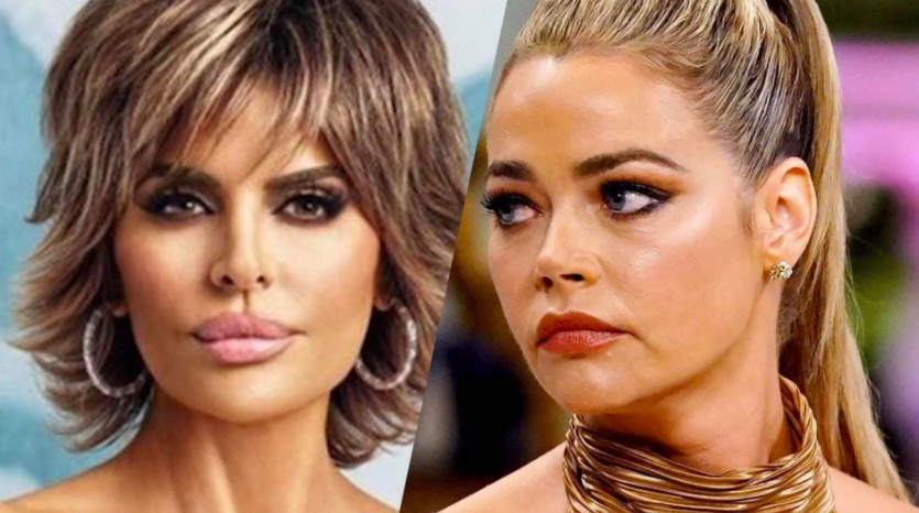 Denise Richards Wants To Patch Up With Lisa Rina After Their Fallout