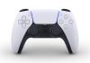 The PS5 controller now comes with full Steam Input API support