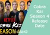Cobra Kai Season 4