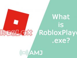 What is RobloxPlayer.exe?