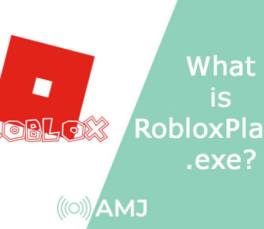 What is RobloxPlayer.exe?