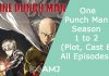 One Punch Man