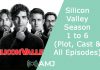 Index of Silicon Valley