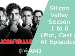 Index of Silicon Valley