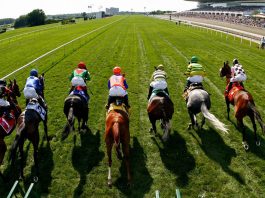 What Is a Win Bet for Horse Racing