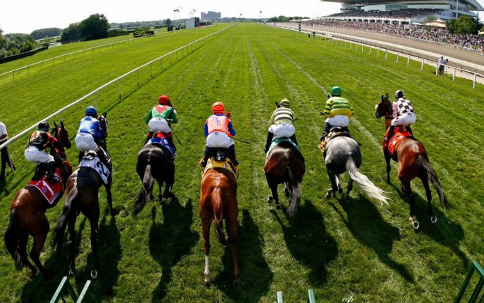 What Is a Win Bet for Horse Racing