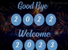 Bye Bye 2022 GIF