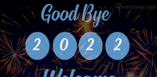 Bye Bye 2022 GIF