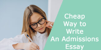 Cheap Way to Write an Admissions Essay