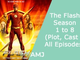 Index of The Flash