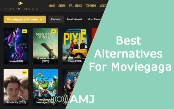 Best Alternatives For Moviegaga