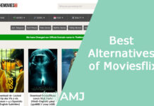 Best Alternatives of Moviesflix