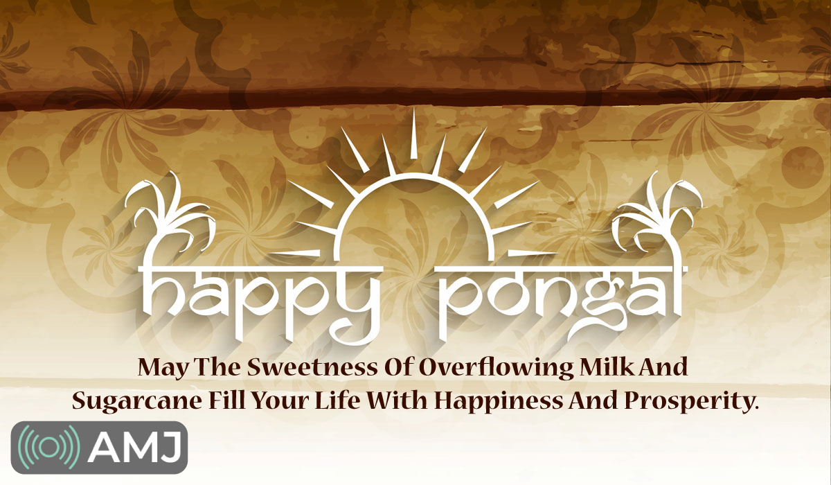 Happy Pongal Cards