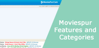 Moviespur Features and Categories