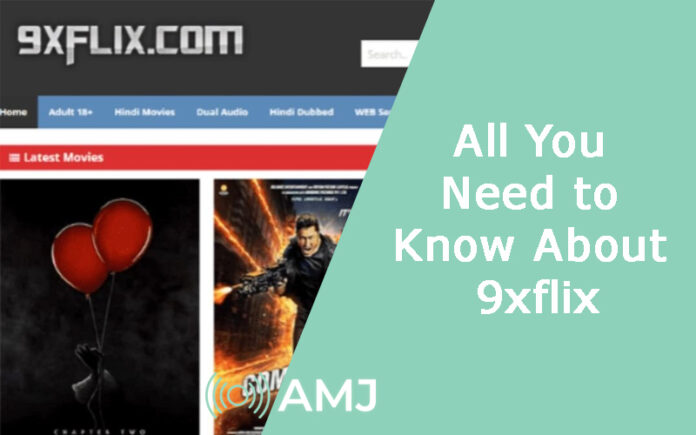 All You Need to Know About 9xflix