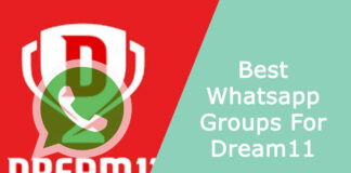 Best Whatsapp Groups For Dream11