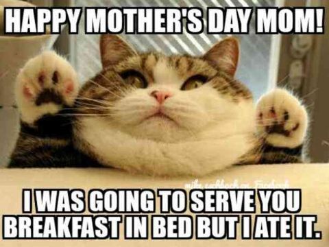 Best Mother’s Day Memes 2022