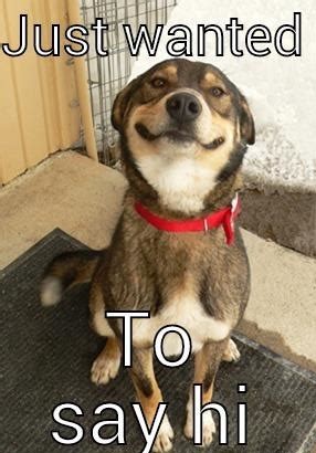 Engaging And Hilarious Hi Memes That Make Great Conversation Starters AMJ