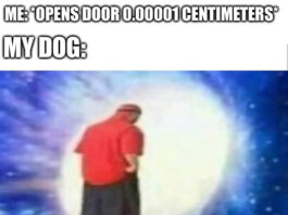 Adios Viral Memes