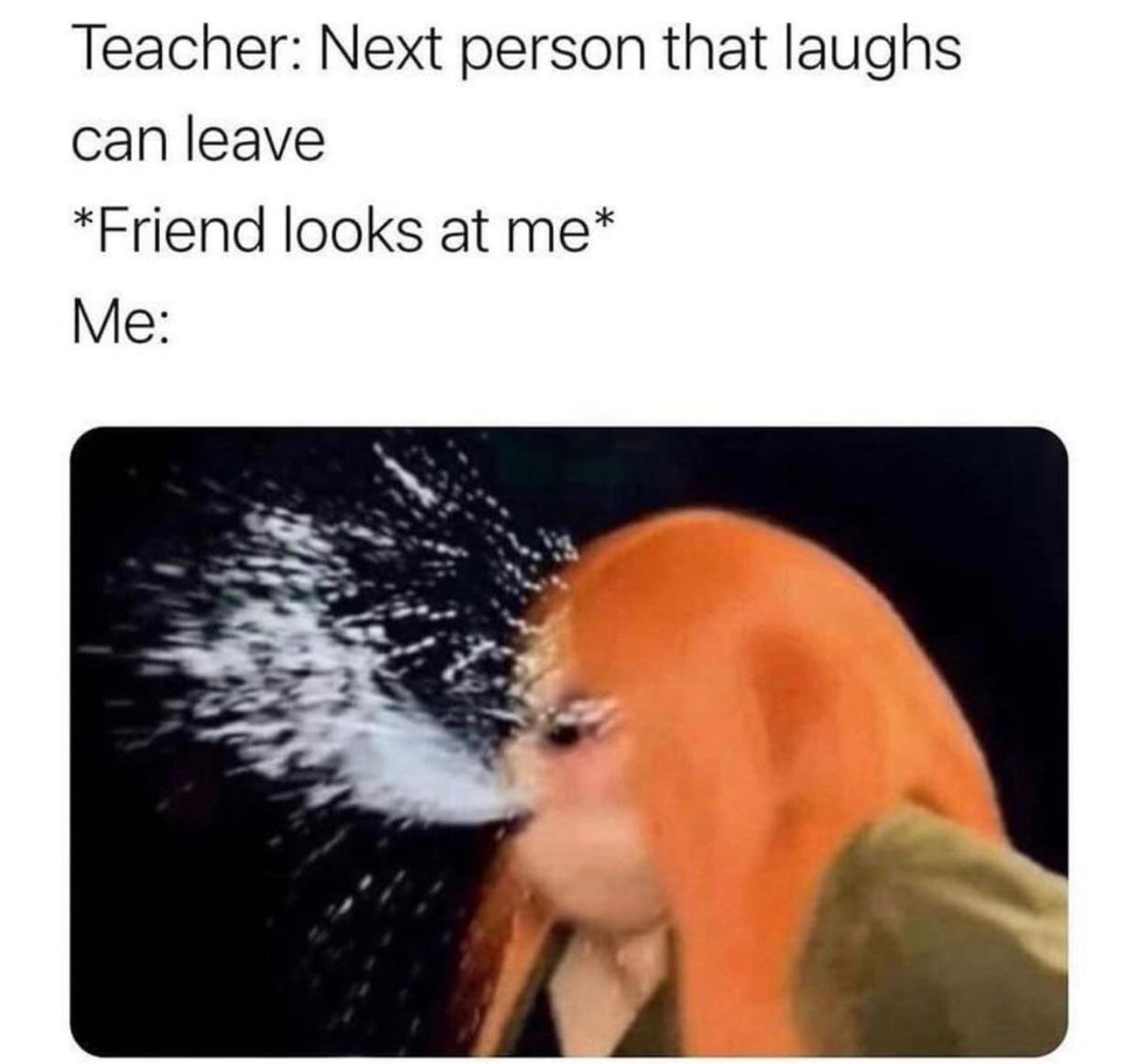 Best Hilarious Laughter Memes