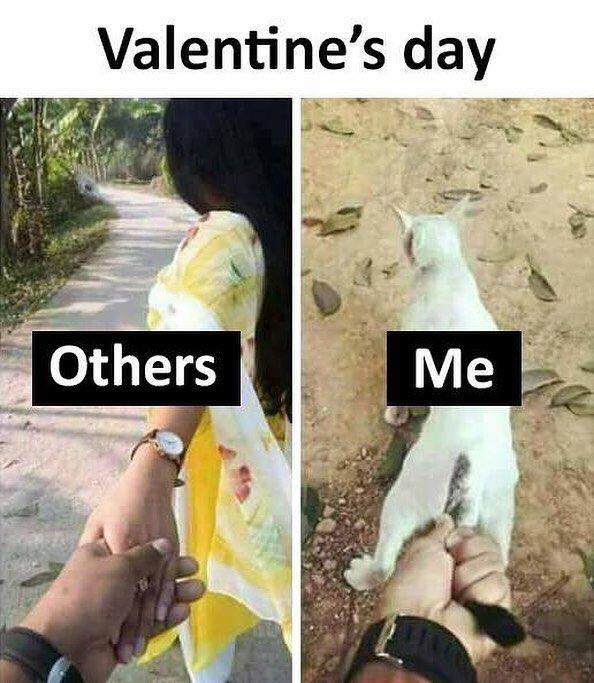 Hilarious yet Relatable Propose Day Memes You Need to Know About Today - AMJ