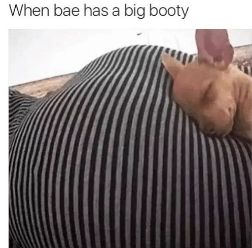 Big Booty Hilarious Memes