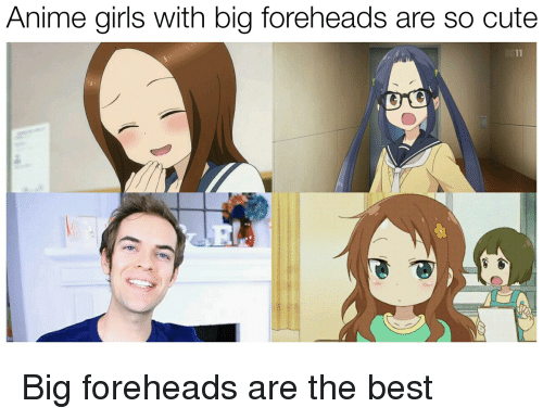 Big Forehead Top Funny Memes