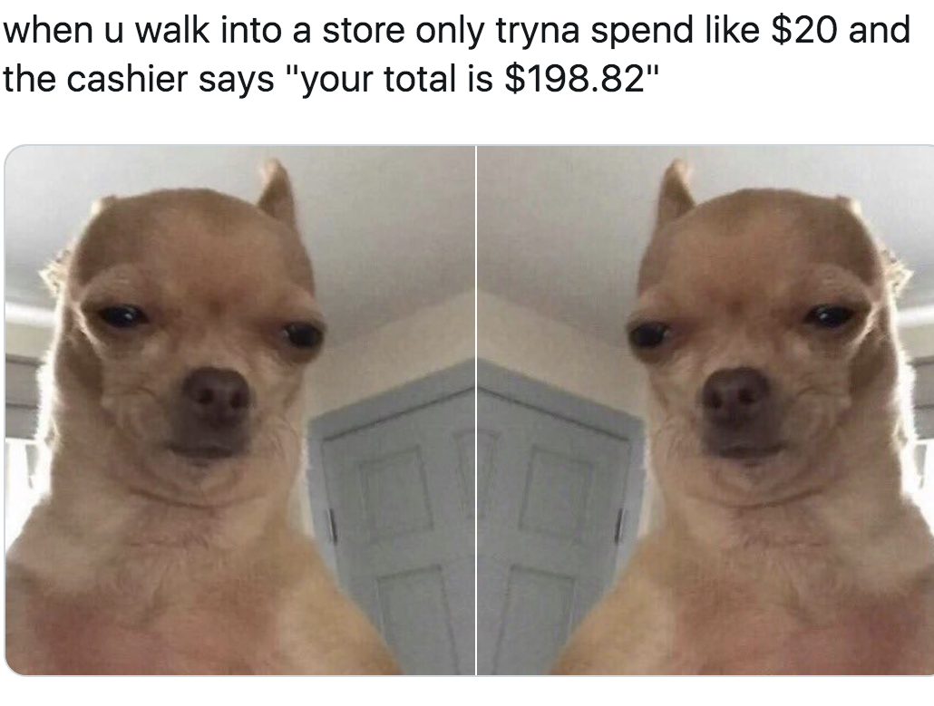 Funny Chihuahua Memes