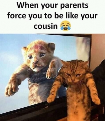 Funny Cousin Memes