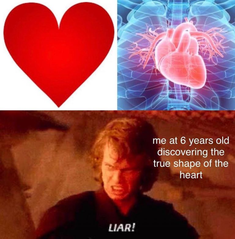 Funny Heart Memes