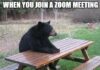Meeting Viral Meme