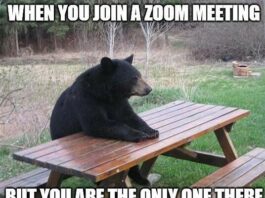 Meeting Viral Meme