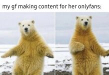 OnlyFans Hilarious Memes