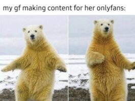 OnlyFans Hilarious Memes