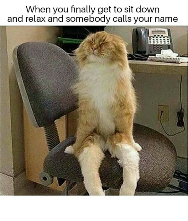 Hilarious Relax Meme that Serves as a Sarcastic Reply AMJ