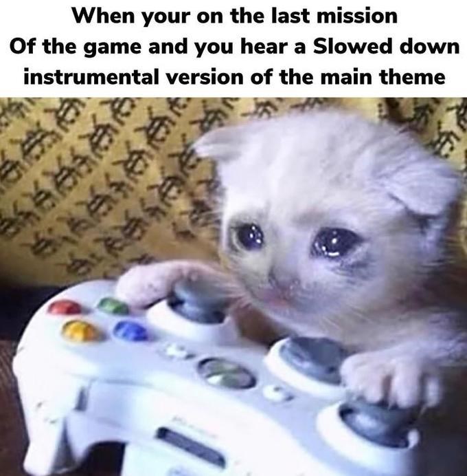 Sad Cat Best Memes