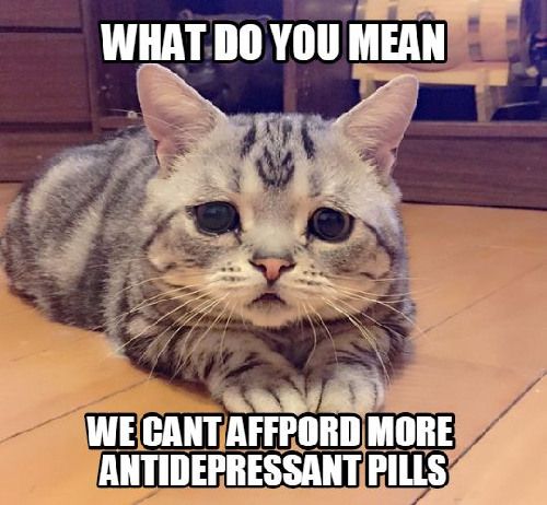 Sad Cat Hilarious Memes