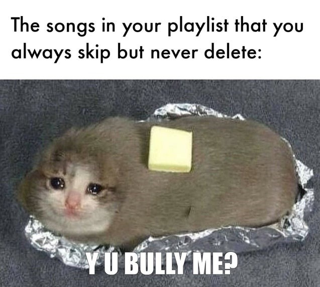 Sad Cat Memes