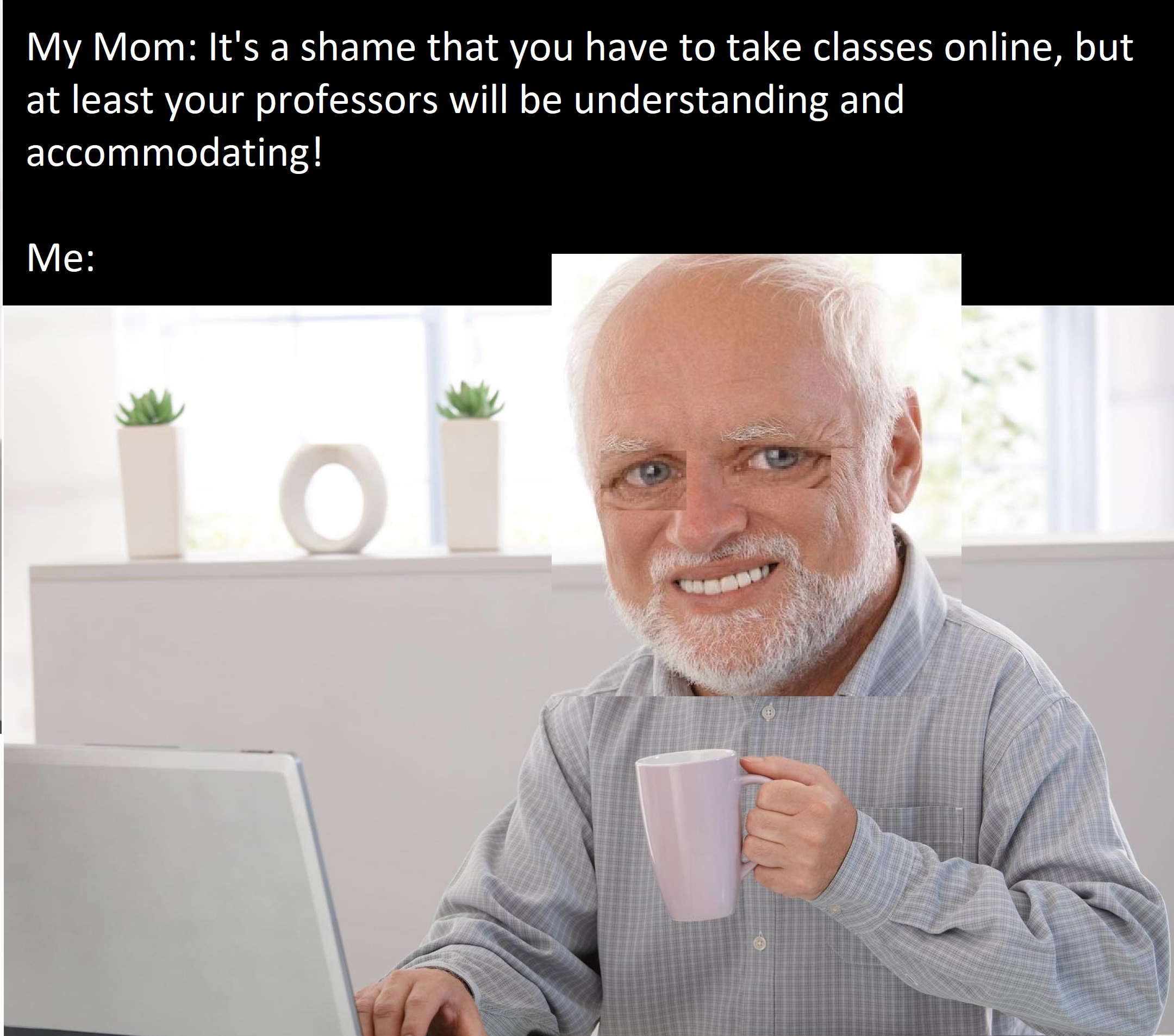 online class Top Funny memes