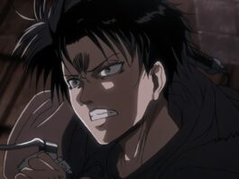 ATTACK ON TITAN LEVI PFP