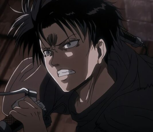 ATTACK ON TITAN LEVI PFP