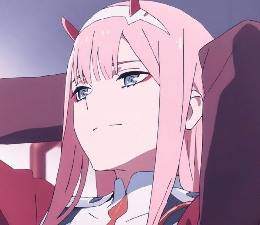 Darling In The Franxx Zero Two PFP