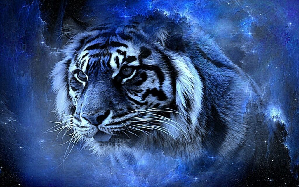 Enhance the Look of your Device with Tiger Wallpapers - AMJ