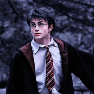 Free HARRY POTTER PFP