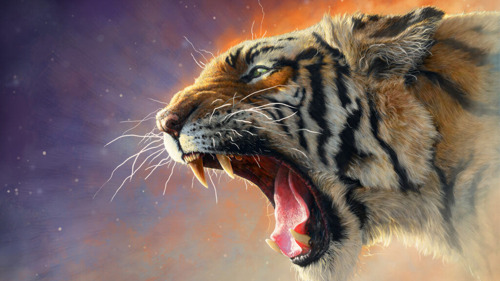Free Tiger Wallpapers Download