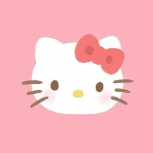 HELLO KITTY PFP  for social media