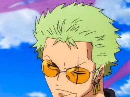 One Piece Roronoa Zoro PFP