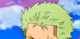 One Piece Roronoa Zoro PFP