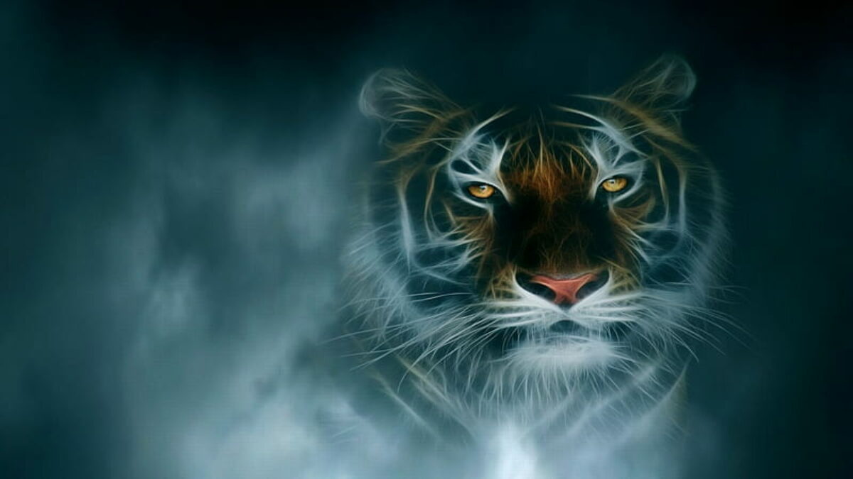 Tiger qhd samsung galaxy s6 s7 edge note lg g4 wallpapers hd desktop  backgrounds 1440x2560 images and pictures