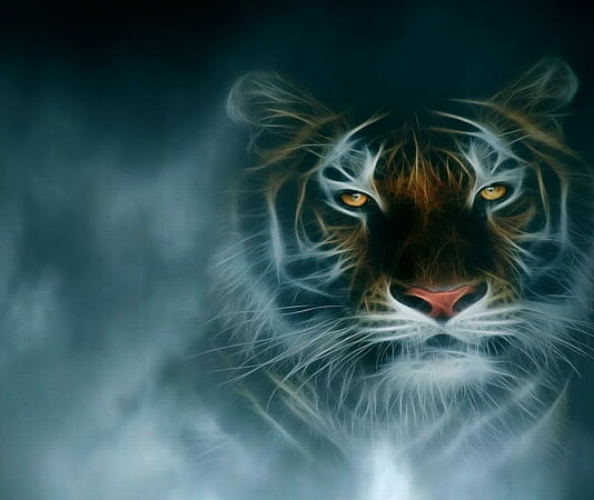 Top Cool Tiger Wallpapers
